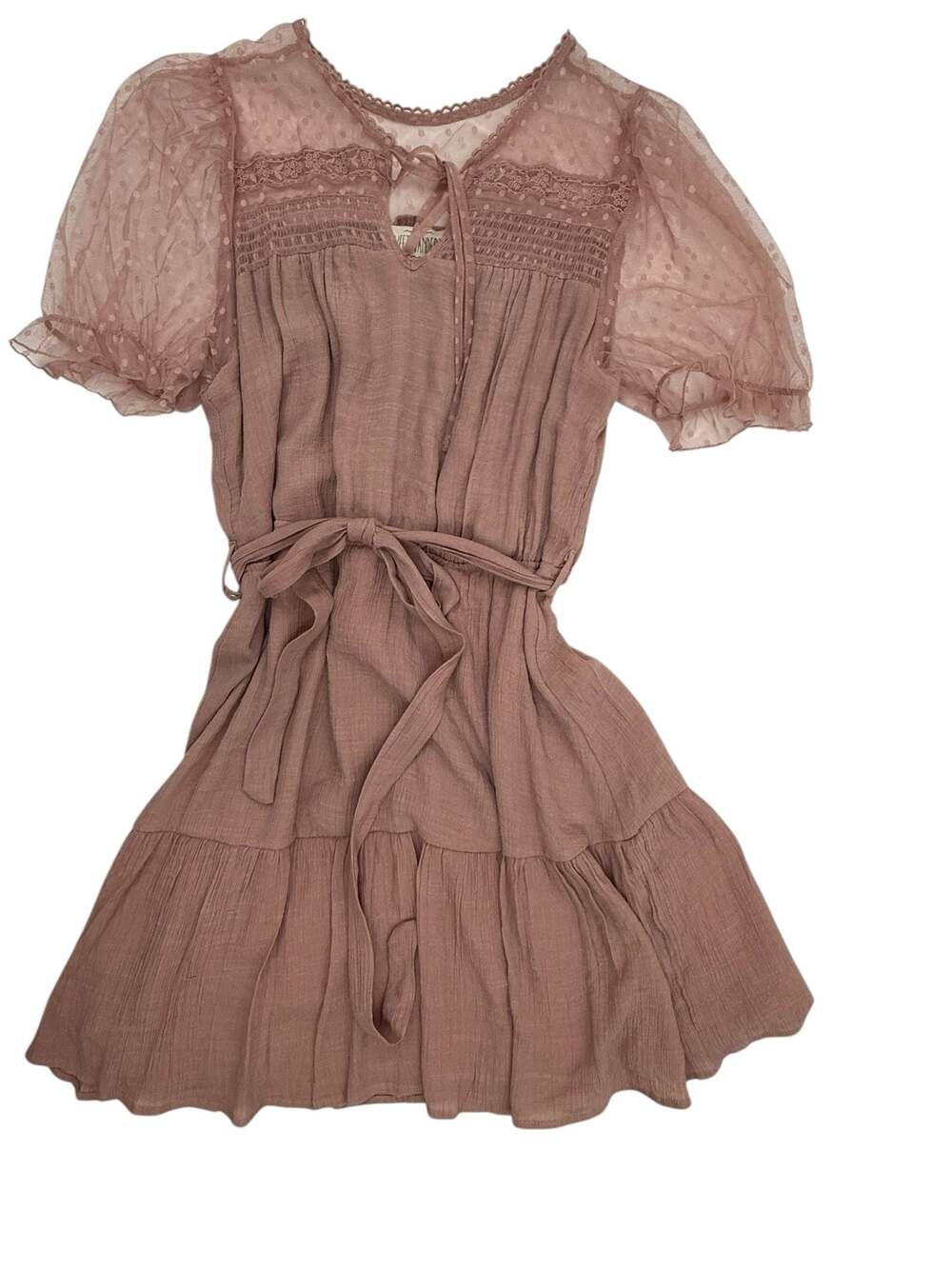 Sweet Wanderer Mauve Smocked Mini Dress with Sheer Swiss Dot Puff Sleeves  XL